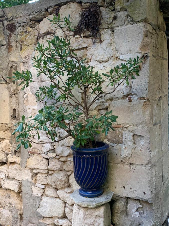 La Petite Maison Crepy-en-Valois Luaran gambar